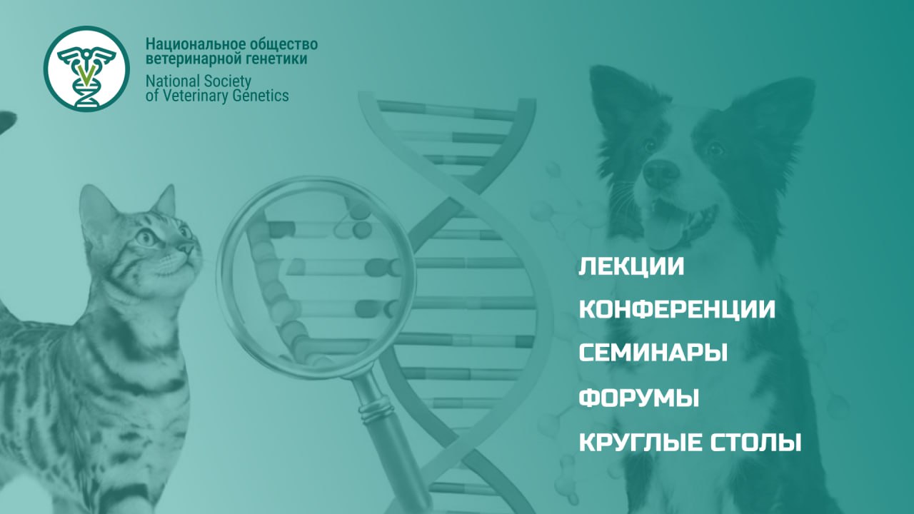 Мероприятия