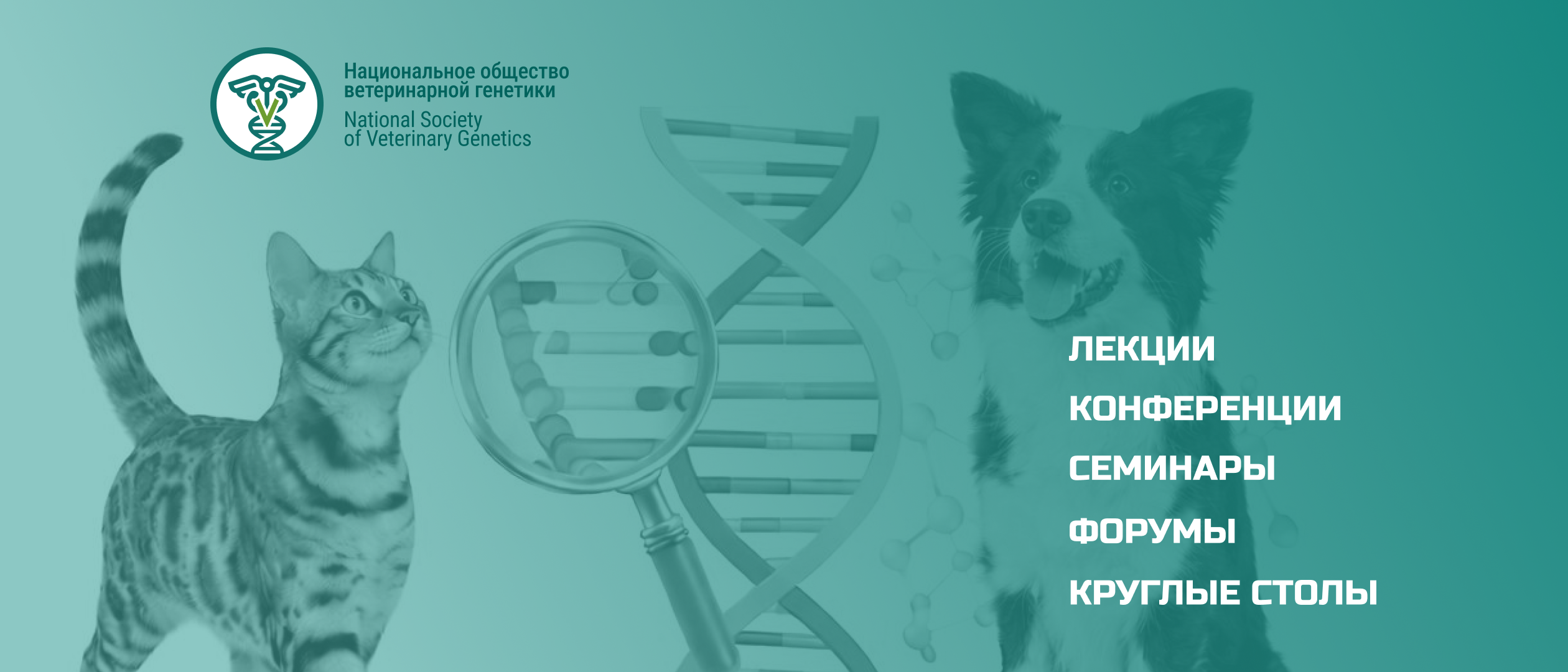 Мероприятия