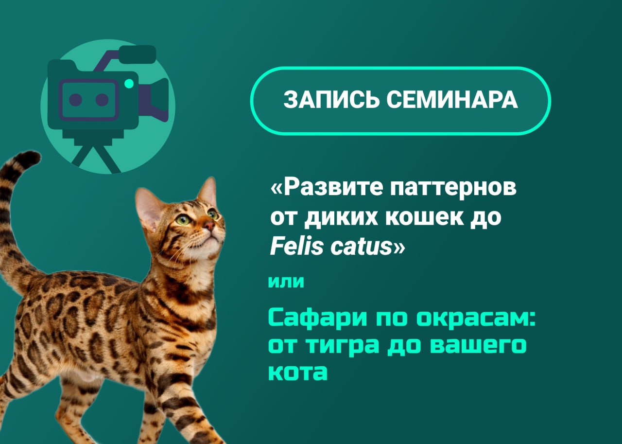 Научно-практический семинар по окрасам и колористике кошек